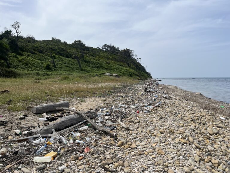 TRASH COLLECTION ON RODONI BEACH (ALBANIA)