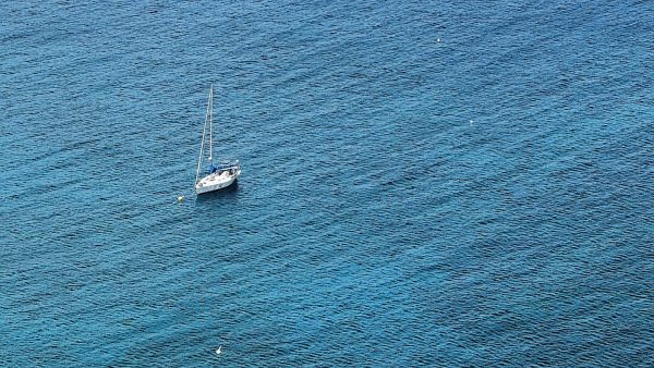 Marlin